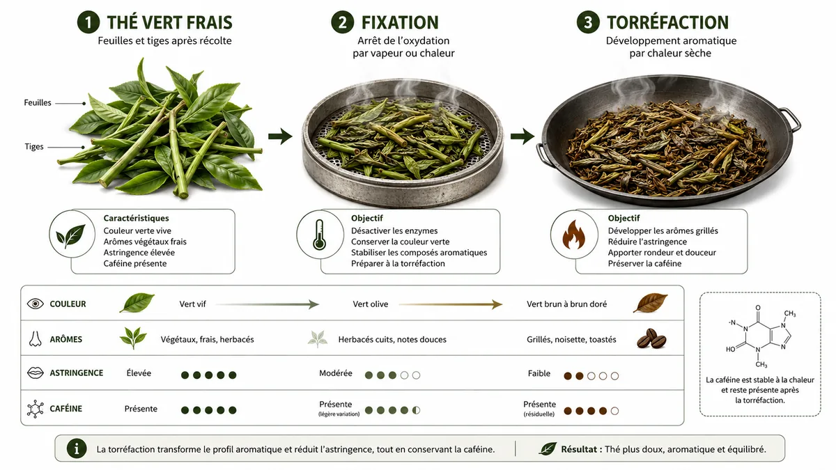 Schéma de fabrication des feuilles de hojicha torréfiées